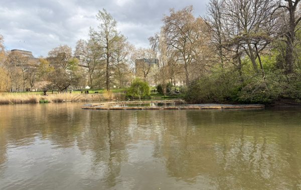 PHOTO-2026-03-30-15-56-16